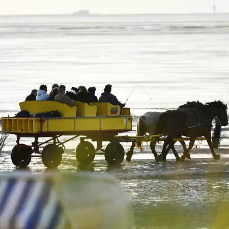 Strandhochhaus Sf12 *
